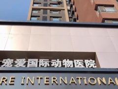 -宠爱国际动物医院· 猫科· 外科·中兽医(长白店)