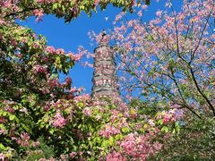 -顺峰山公园