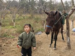 -养马岛旅游度假区