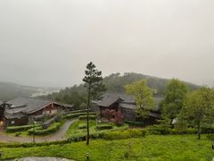 -丽江金茂璞修雪山酒店-雪景阁餐厅