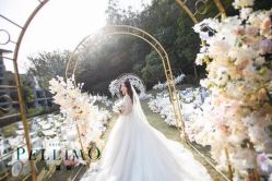 -派丽莫Pellimo原创设计婚纱品牌