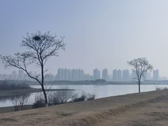 -盘龙城国家考古遗址公园