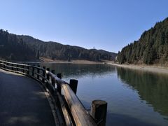 -武陵山森林公园