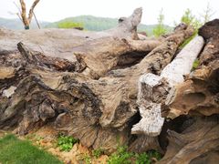 -南京市无想山景区