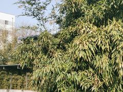 -丰台科技园生态主题公园
