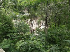 -碓臼峪自然风景区