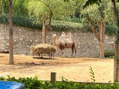 -石家庄市动物园