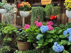 -龙姐私房菜(和顺古镇店)