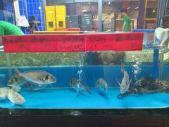 -明本湛江鸡•海鲜小厨(陈家祠店)