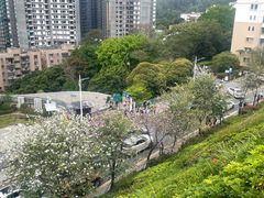 -小南山公园