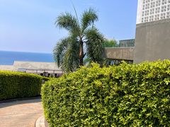 -普吉岛凯悦酒店