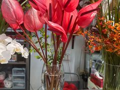 -FEI FEI FLOWER鲜花店·气球派对·宝宝宴布置(虹口德必运动Loft店)