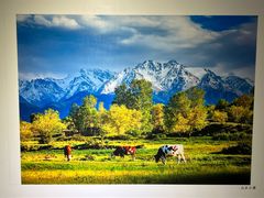 -南湖市民广场-乌鲁木齐美术馆