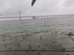 -星海广场