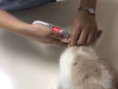 -谐和贝康宠物医院24小时·宠保定点(急重症转诊中心)