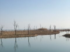 -太湖湖滨国家湿地公园-停车场