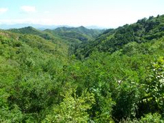 -蟠龙山长城景区