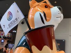 -老虎堂TIGER SUGAR