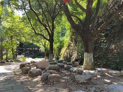 -屈原故里文化旅游区