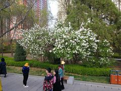 -迎泽公园