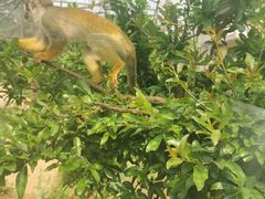 -石家庄市动物园