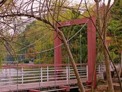 -天鹅湖体育公园