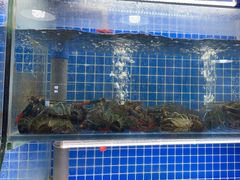-星记小馆·小蓝龙·老南京砂锅菜(上海路店)