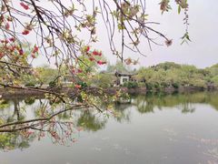 -无锡蠡湖国家湿地公园-蠡园