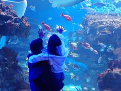 -海合安成都极地海洋公园
