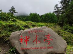 -硗碛藏寨·神木垒景区