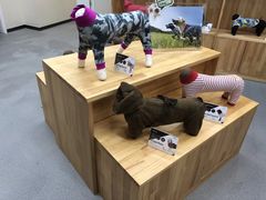 -爱妮康宠物医院·干细胞免疫细胞·肿瘤·心脏(张江店)