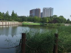 -大望京儿童游乐场