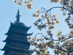 -常熟方塔园