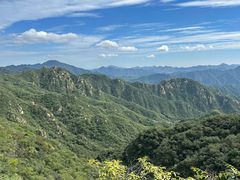 -大岭沟猕猴桃谷风景区
