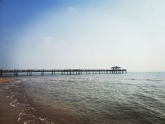 -双海酒店·海鲜家常菜(南戴河店)
