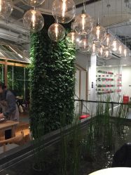 -悦诗风吟innisfree