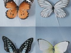 -杭州西湖博物馆总馆
