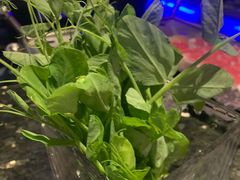 -王家渡火锅店(棕榈泉店)