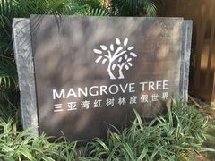 -三亚湾红树林度假世界(木棉酒店)