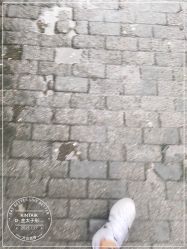 -金太子形象设计