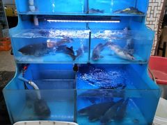 -韩妹鱼庄·泸定老字号(泸定店)