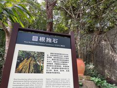 -亚龙湾热带天堂森林公园