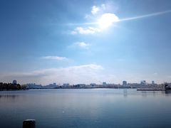 -长春市南湖公园