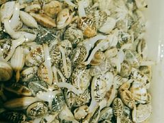 -正亮农家院·海鲜本地菜