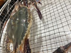 大飞蟹-海味当家·蒸锅海鲜(星海公园店)