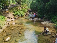 -广州白江湖森林公园