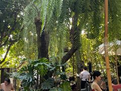 -Fern Forest Cafe