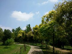 -贵阳市花溪国家城市湿地公园