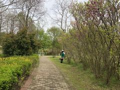 -九里河湿地公园