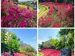 -老门东历史文化街区